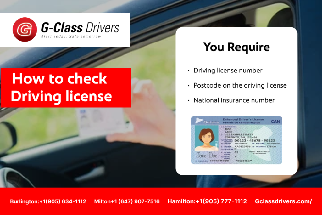 Driving license Check