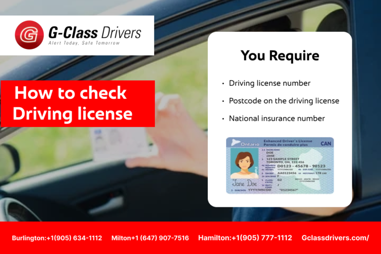 Check & Verify Your Hamilton Driving License Status Online