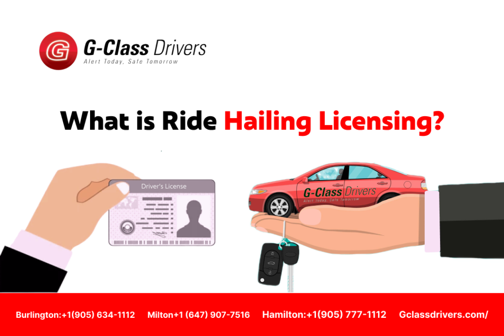 Ride Hailing Licence
