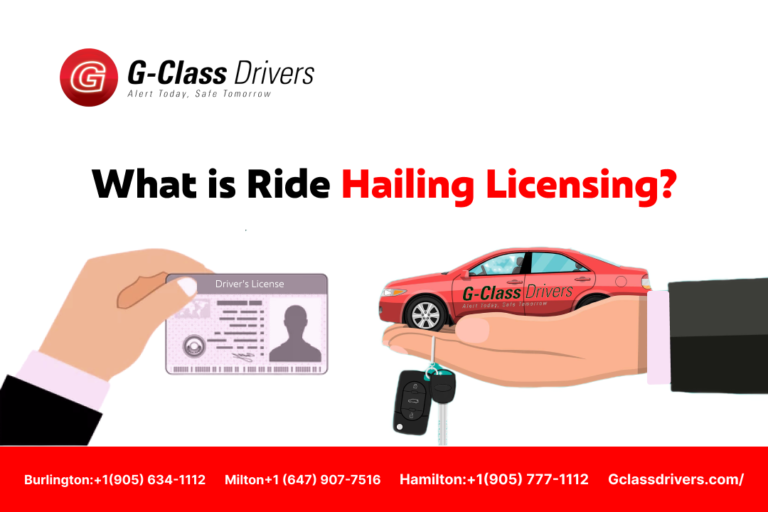 How to Obtain a Ride Hailing Licence? > GClass Drivers