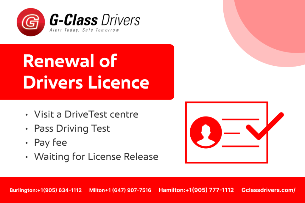 renew drivers licence