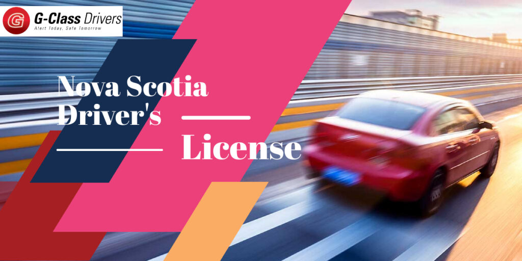nova scotia drivers license