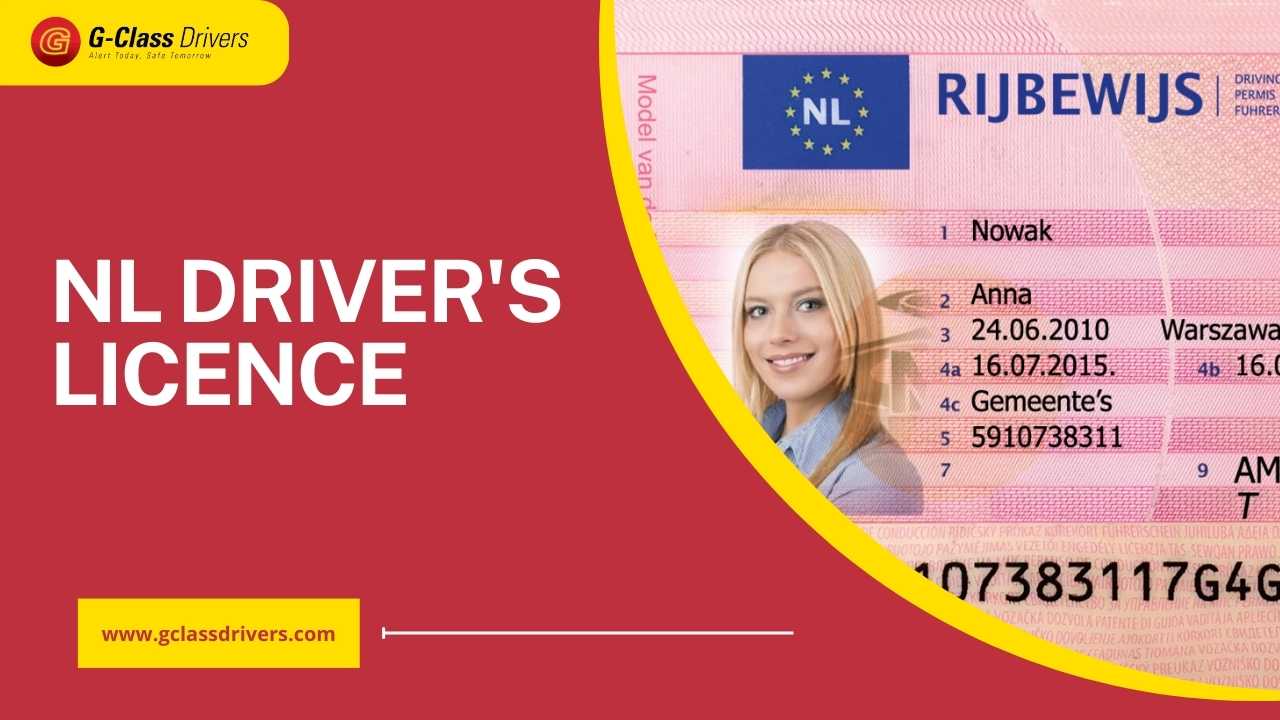 NL Driver's Licence